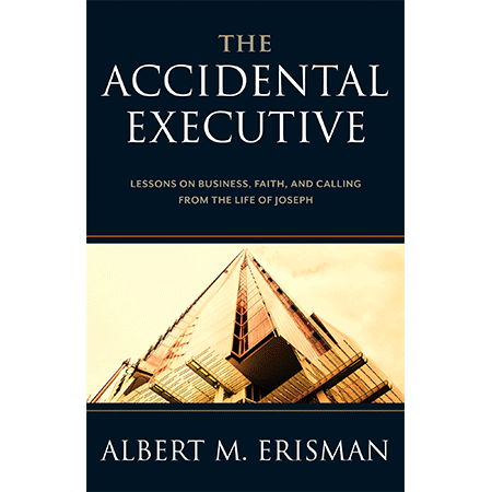 The_Accidental_Executive