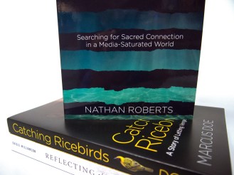 Surface Tensions Catching Ricebirds Reflecting the Eternal