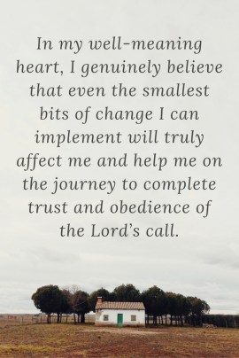 in-my-well-meaning-heart-i-genuinely-believe-that-even-the-smallest-bits-of-change-i-can-implement-will-truly-affect-us-and-help-me-on-the-journey-to-complete-trust-and-obedience-of-the-lord