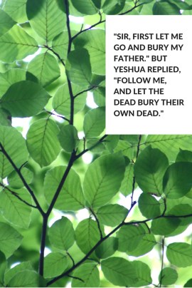 the-father-is-not-dead-yet-the-son-wishes-to-go-home-and-live-comfortably-until-his-father-dies-in-the-future-1