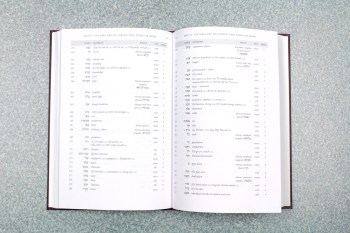 biblical-aramaic-inside